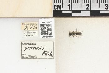 Media type: image;   Entomology 769819 Aspect: Labels
